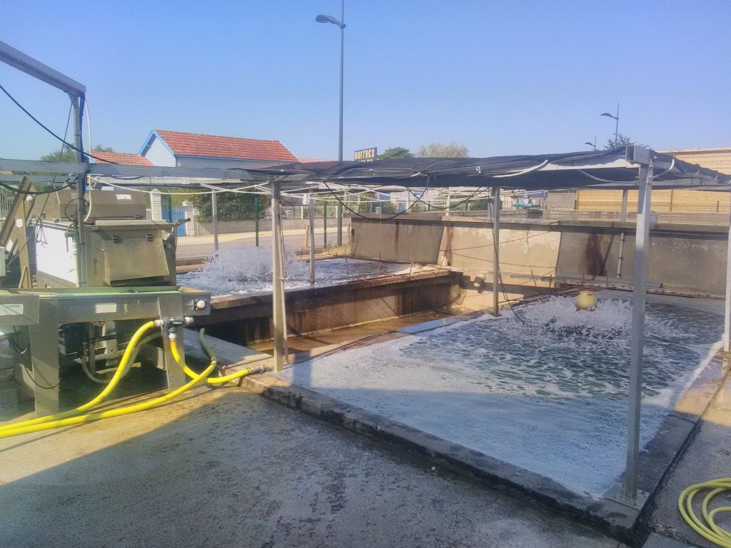 Votre Ostriculteur aux Boucholeurs proche de La Rochelle