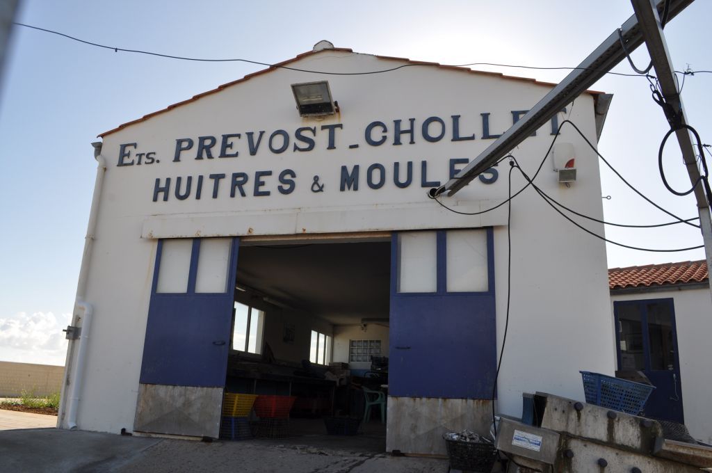 Votre Ostriculteur aux Boucholeurs proche de La Rochelle