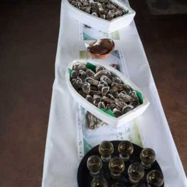 Dgustation hutres & moules