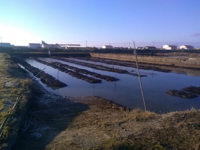 Votre producteur d'huitres et de moules aux Boucholeurs (17)