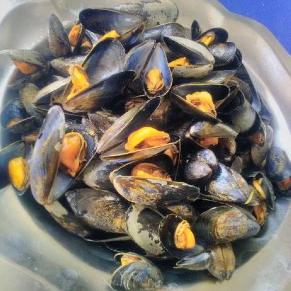 Moules cuisines